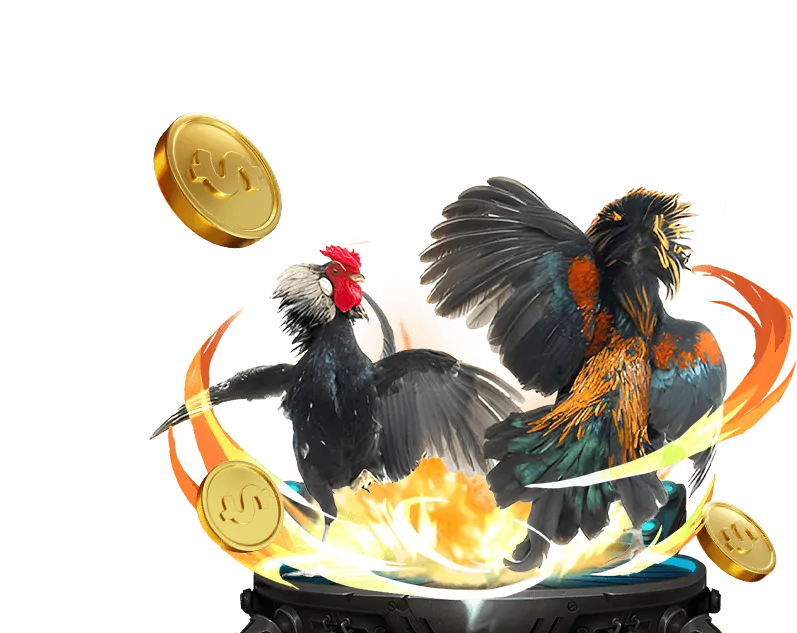 Lợi nhuận hấp dẫn và hoa hồng cao